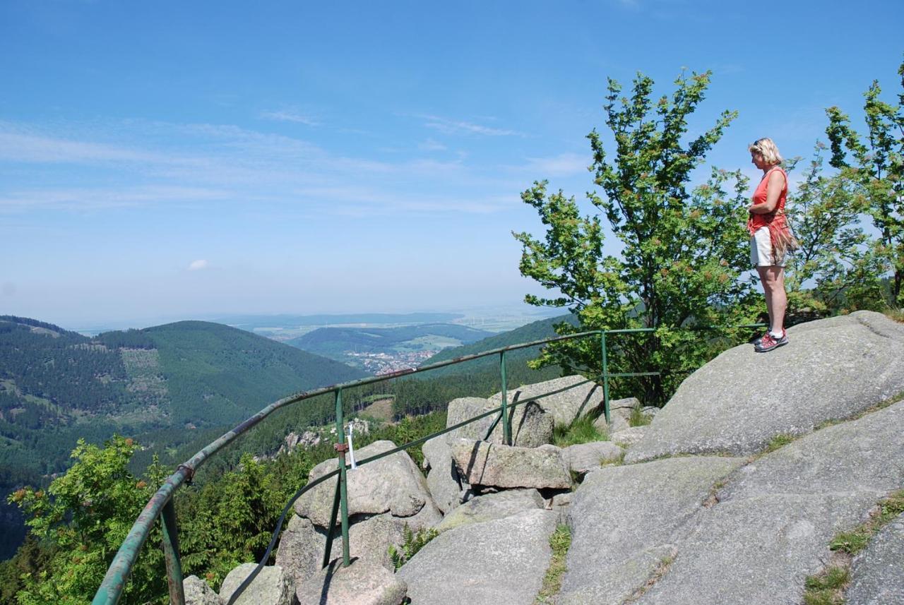 Ferienwohnung-Bergblick Bad Harzburg Bagian luar foto
