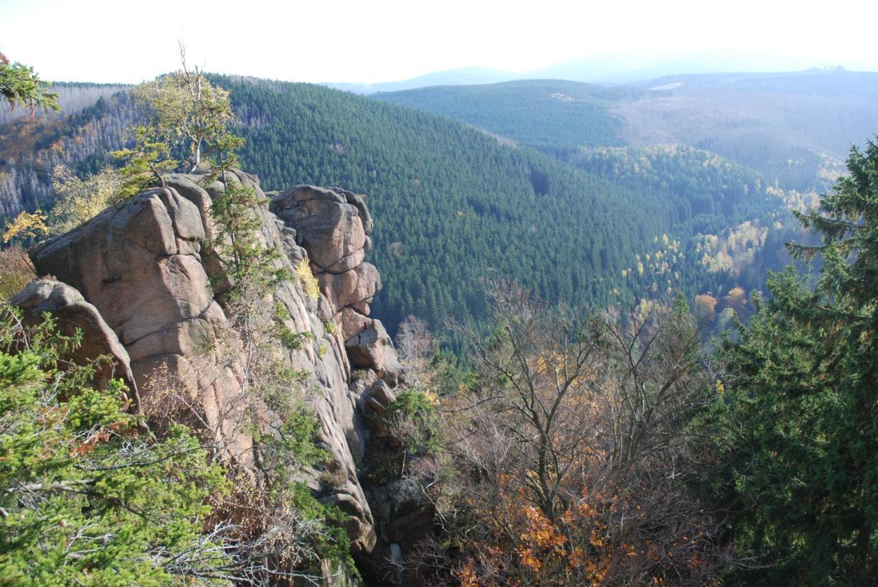 Ferienwohnung-Bergblick Bad Harzburg Bagian luar foto
