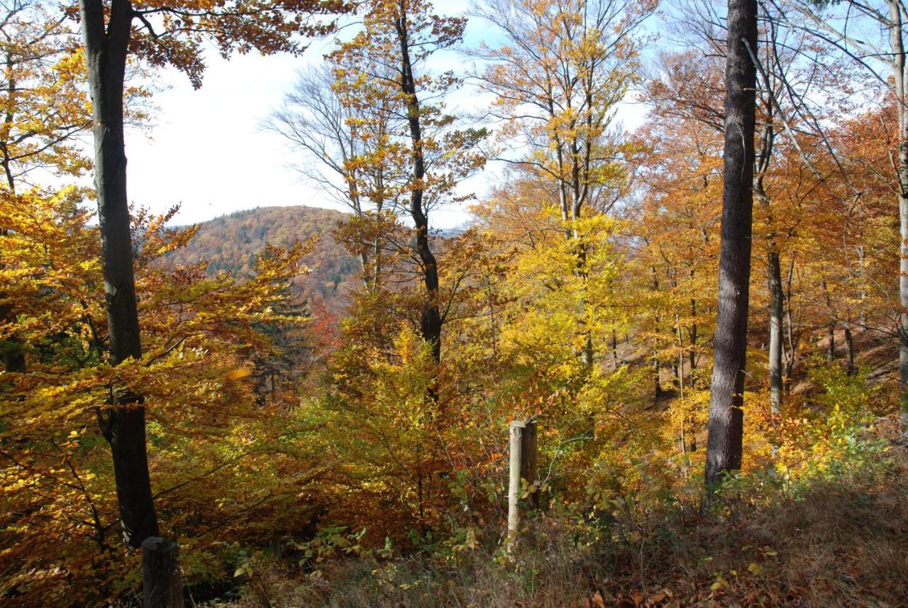 Ferienwohnung-Bergblick Bad Harzburg Bagian luar foto