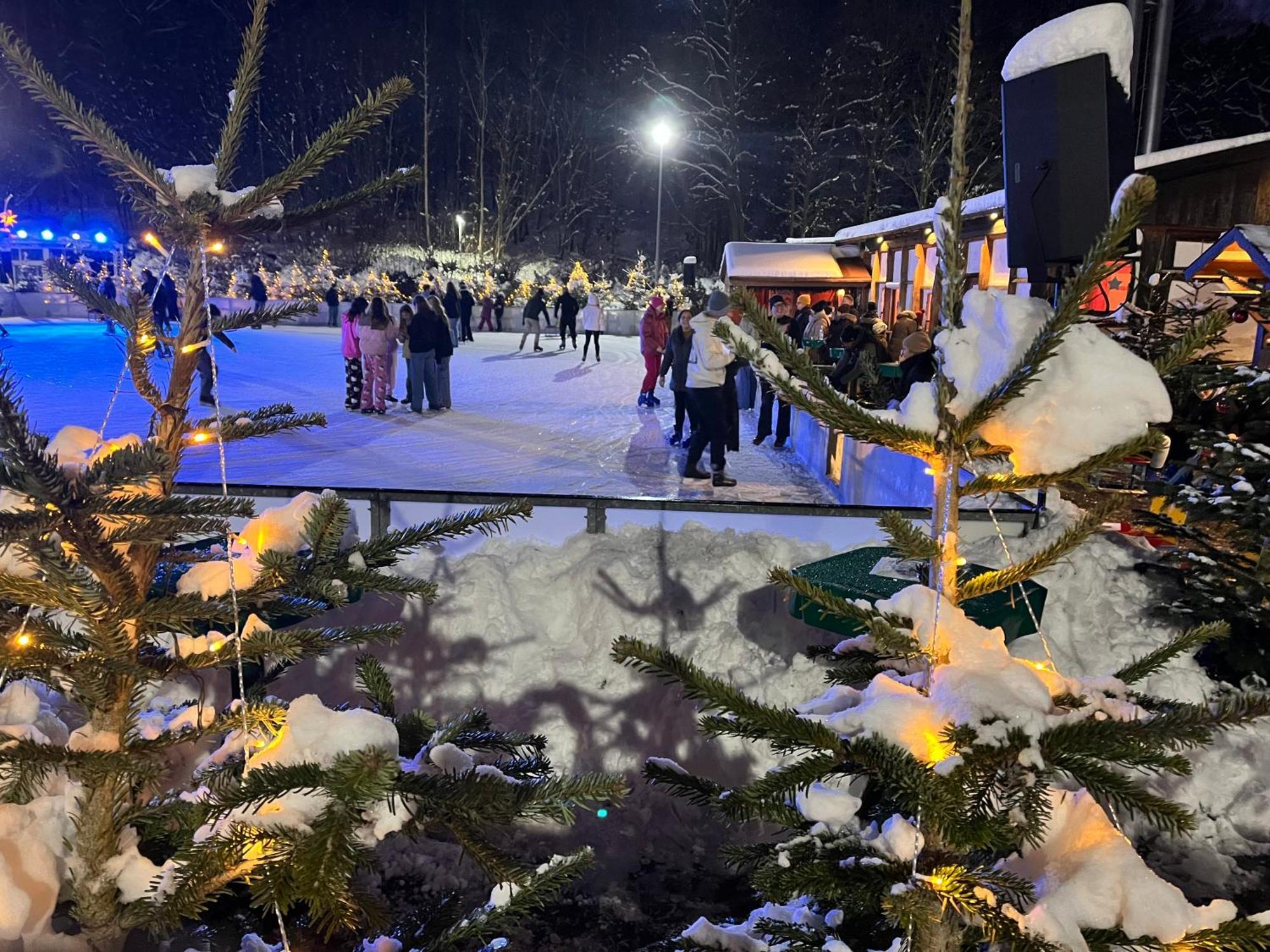 Ferienwohnung-Bergblick Bad Harzburg Bagian luar foto
